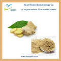 Nature Spray dried Ginger Powder dehydrated ginger powder